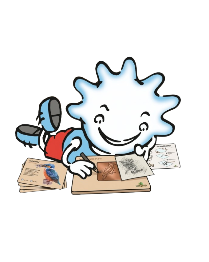 Lesní svět - frotáže