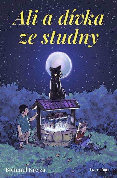 Obrázek produktu: Ali a dívka ze studny