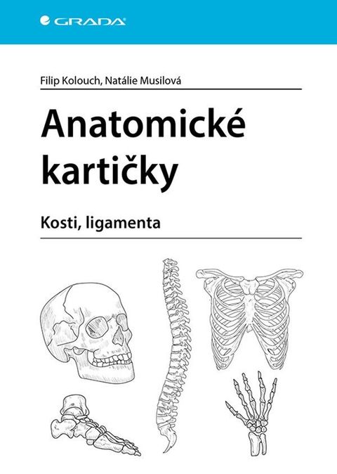 Obrázek produktu: Anatomické kartičky