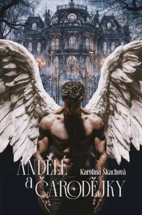 Obrázek produktu: Andělé a čarodějky