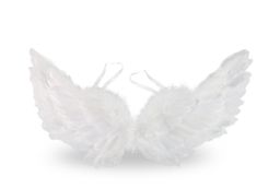 Obrázek produktu: Andělská křídla s peřím 50 cm