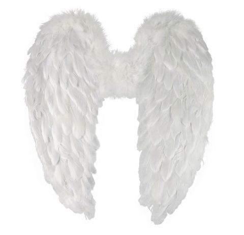 Obrázek produktu: Andělská křídla s peřím 55 cm