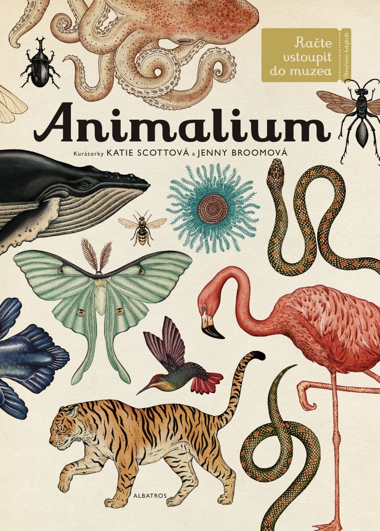 Animalium - Jenny Broomová