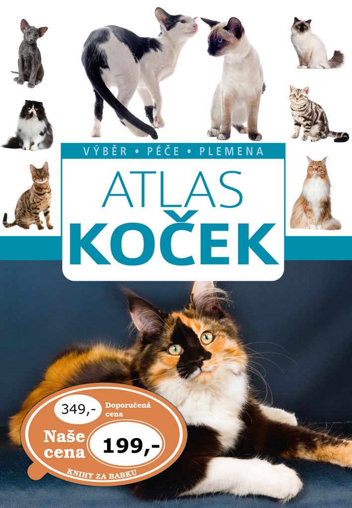 Atlas koček