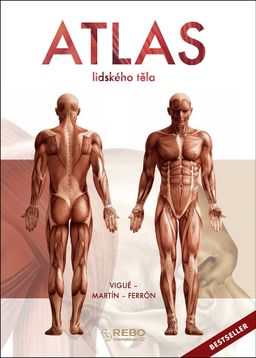 Obrázek produktu: Atlas lidského těla