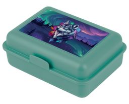 Obrázek produktu: BAAGL Box na svačinu Aurora