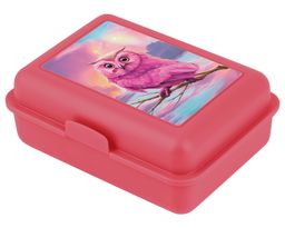 Obrázek produktu: BAAGL Box na svačinu - Sova