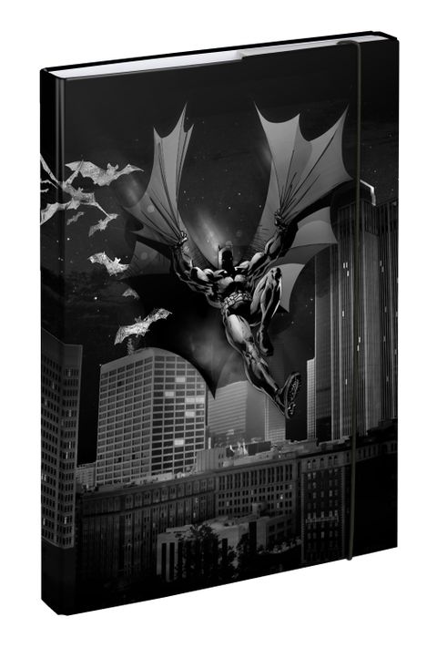 Obrázek produktu: BAAGL Desky na školní sešity A4 - Batman Dark City