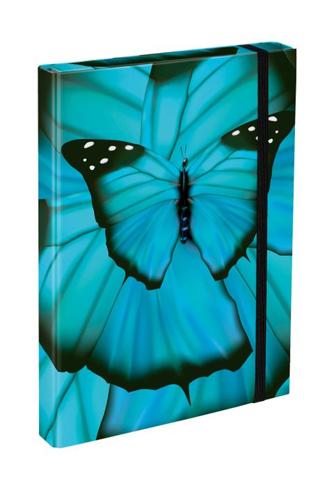 Obrázek produktu: BAAGL Desky na školní sešity A4 - Butterfly