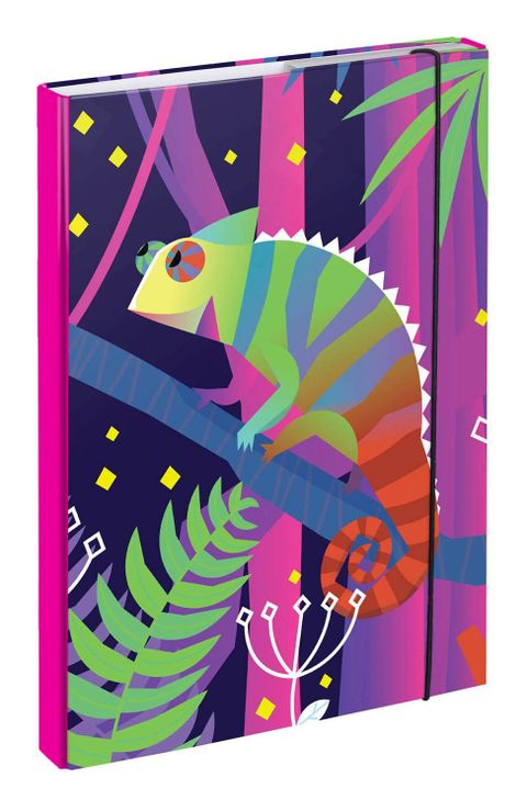 Obrázek produktu: BAAGL Desky na školní sešity A4 - Chameleon