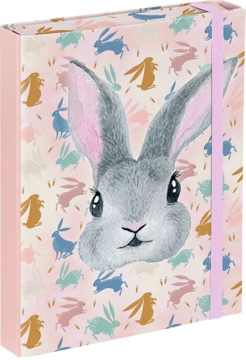 Obrázek produktu: BAAGL Desky na školní sešity A5 - Bunny