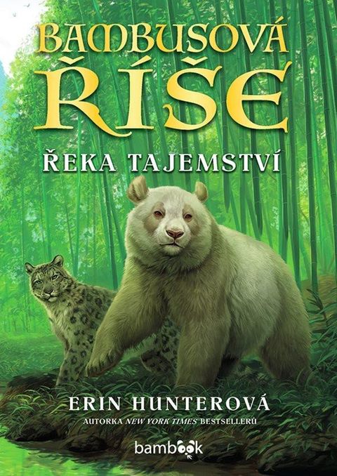Obrázek produktu: Bambusová říše - Řeka tajemství