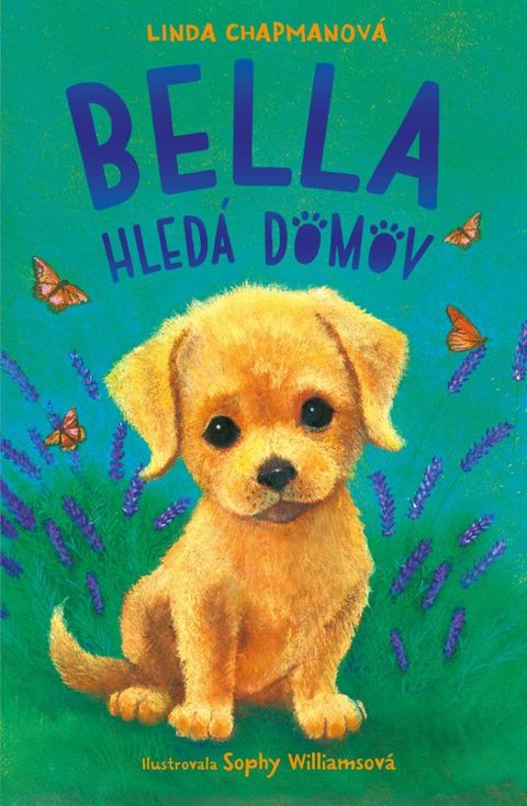 Obrázek produktu: Bella hledá domov