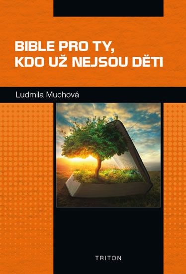 Obrázek produktu: Bible pro ty, kdo už nejsou děti