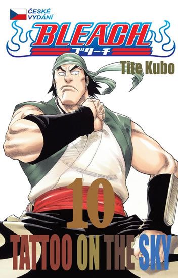 Bleach 10: Tattoo on the Sky - Tite Kubo