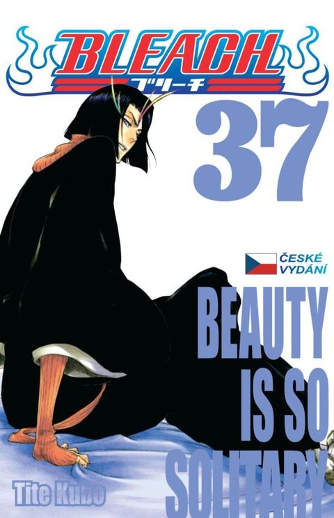 Obrázek produktu: Bleach 37: Beauty Is So Solitary