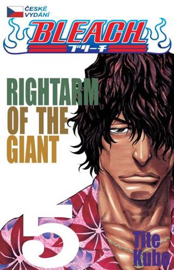 Bleach 5: Rightarm of the Giant - Tite Kubo