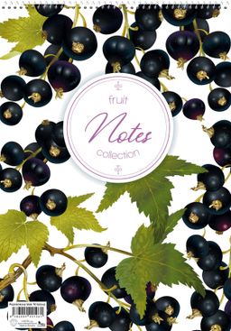 Obrázek produktu: Blok A4 spirála 70 listů - nelinkovaný