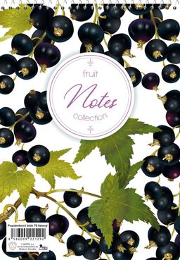 Obrázek produktu: Blok A5 spirála 70 listů - nelinkovaný