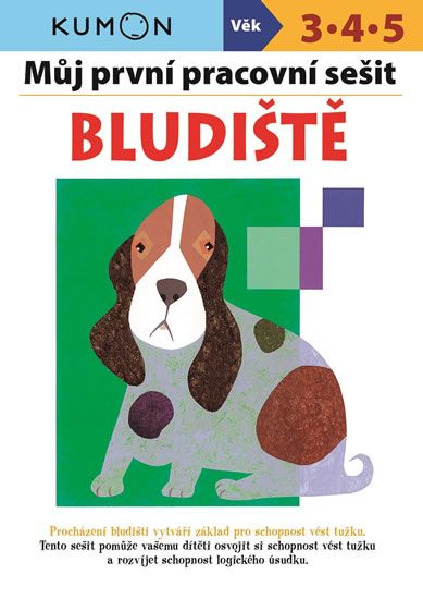 Obrázek produktu: Bludiště - Můj pracovní sešit