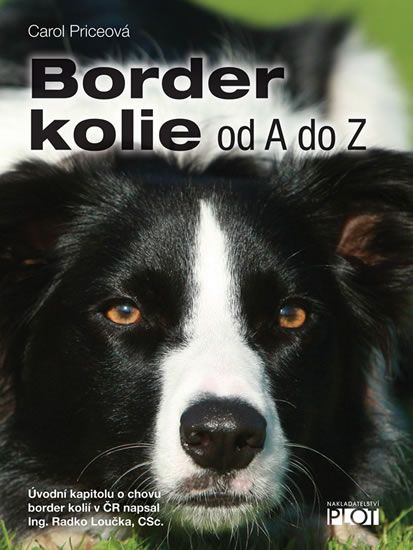 Obrázek produktu: Border kolie
