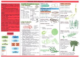 Obrázek produktu: Botanika - tabulka přehled učiva