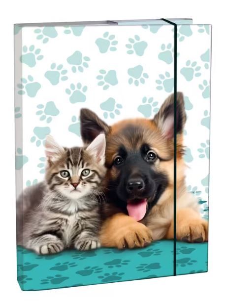 Obrázek produktu: Box na sešity A4 - Cute Friends