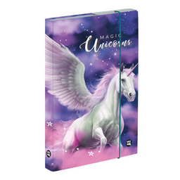 Obrázek produktu: Box na sešity A4 - Pegas