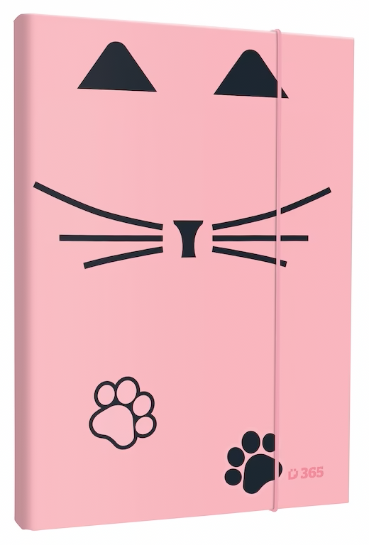 Box na sešity A5 Cat lady