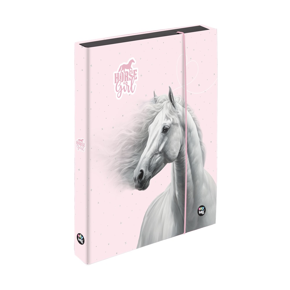 Box na sešity A5 Jumbo kůň romantic