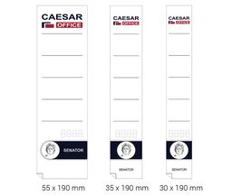 Obrázek produktu: CAESAR OFFICE Štítek na pořadač samolepicí 35 × 190 mm, 10 ks