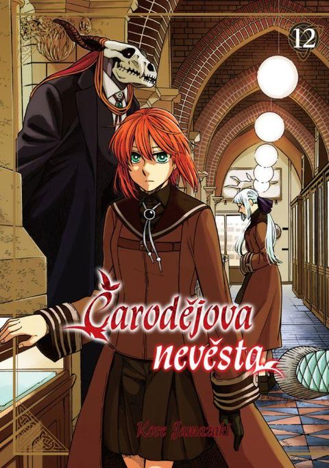 Obrázek produktu: Čarodějova nevěsta 12