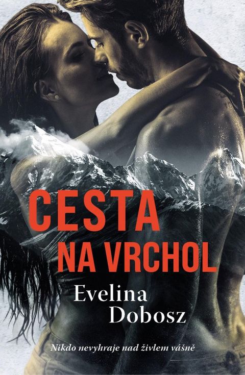 Obrázek produktu: Cesta na vrchol