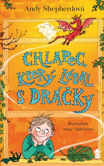 Levně Chlapec, který létal s dráčky