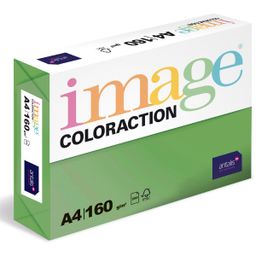 Obrázek produktu: Coloraction A4 160 g 250 ks - Dublin/tmavě zelená