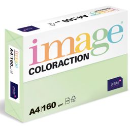 Obrázek produktu: Coloraction A4 160 g 250 ks - Jungle/pastelově sv.zelená
