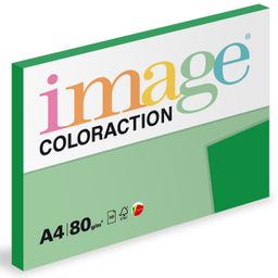Obrázek produktu: Coloraction A4 80 g 100 ks - Dublin/tmavě zelená