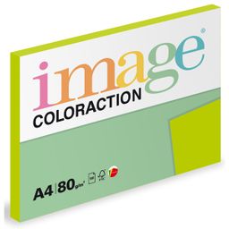 Obrázek produktu: Coloraction A4 80 g 100 ks - Java/středně zelená