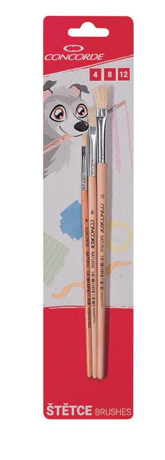 Sada štětců Concorde Natural - ploché 3ks, blistr