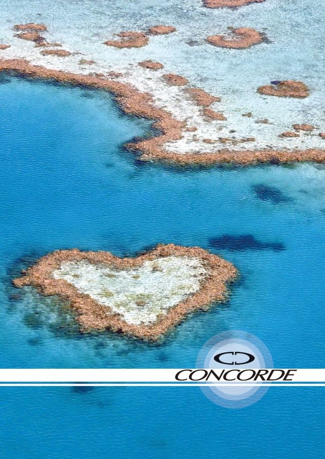 CONCORDE Záznamní kniha A4 96 listů čtverečkovaná