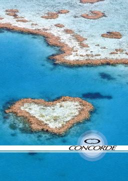 Obrázek produktu: CONCORDE Záznamní kniha A4 96 listů čtverečkovaná