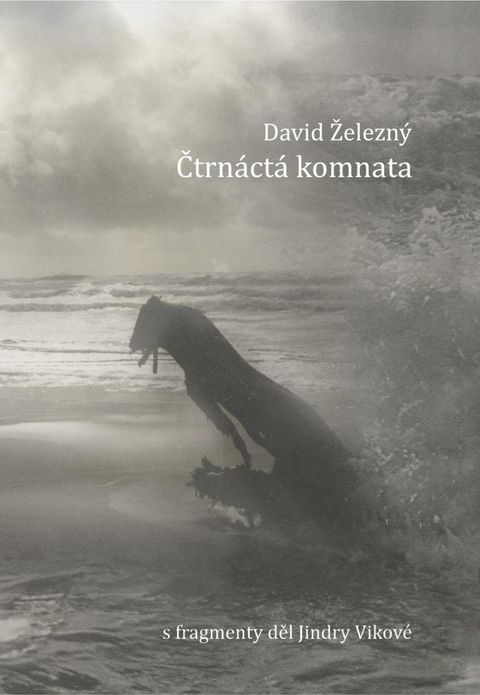 Obrázek produktu: Čtrnáctá komnata
