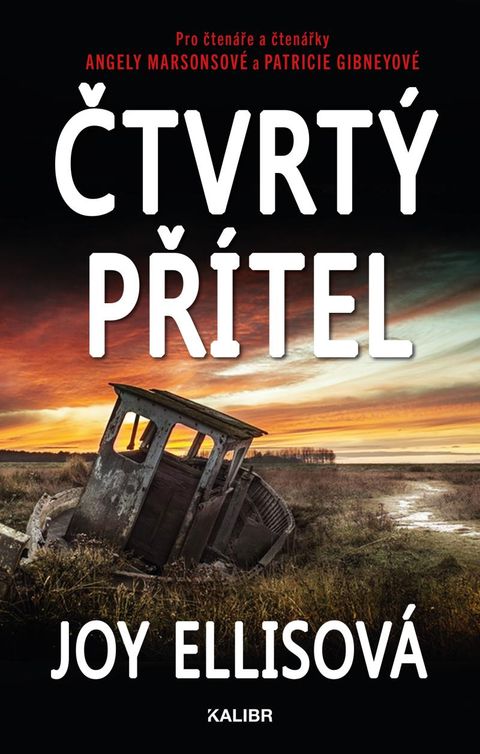 Obrázek produktu: Čtvrtý přítel