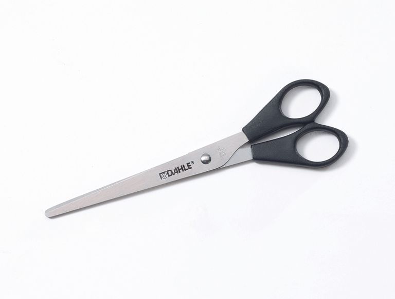 DAHLE Nerezové nůžky pro domácnost - 17 cm