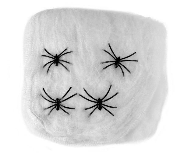 Dekorace Pavučina s Pavouky