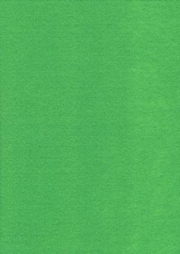 Obrázek produktu: Dekorační filc A4 - světle zelený (1 ks)