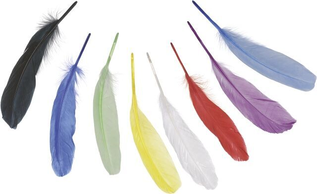 Dekorativní peříčka husí 8 ks, mix barev