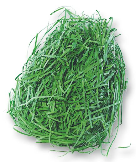 Dekorativní tráva z papíru - 30 g - zelená