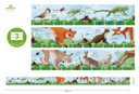 56056000147.2.png