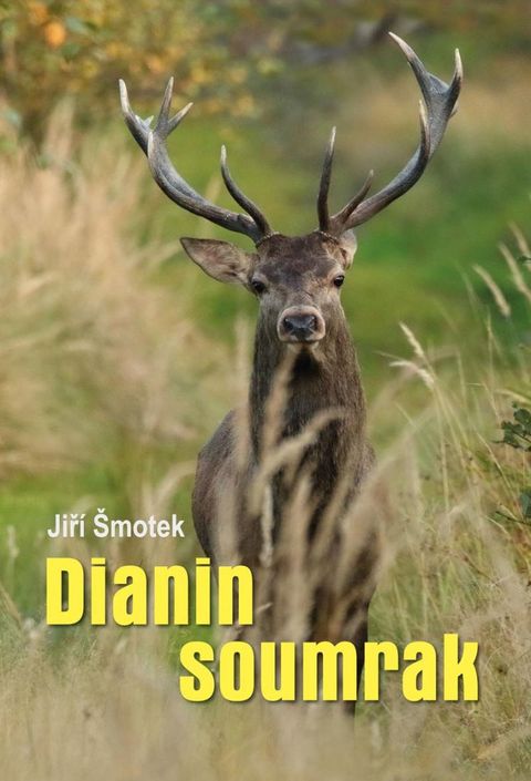 Obrázek produktu: Dianin Soumrak